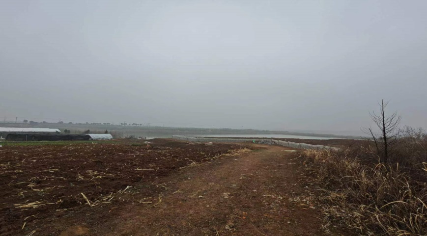 �Ϸ��u�N�@�ֹ������޹�˾���O��λ�ںϷ��з����h��ͤ�(zh��n)�S���ٵ���@��(n��i)���깤���Ј��rֵ�u��